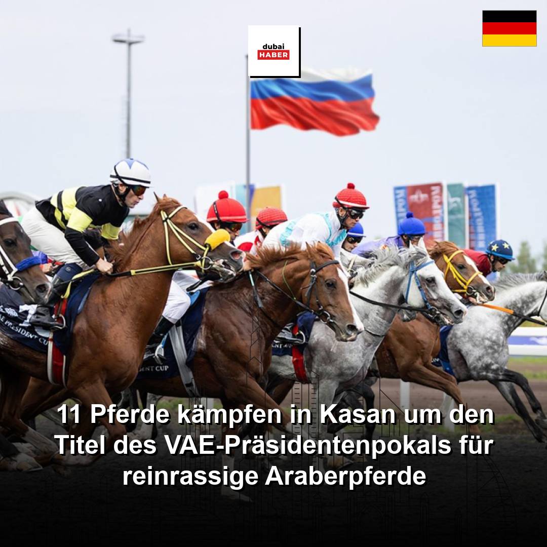 11 Pferde kämpfen in Kasan um den Titel des VAE-Präsidentenpokals für reinrassige Araberpferde