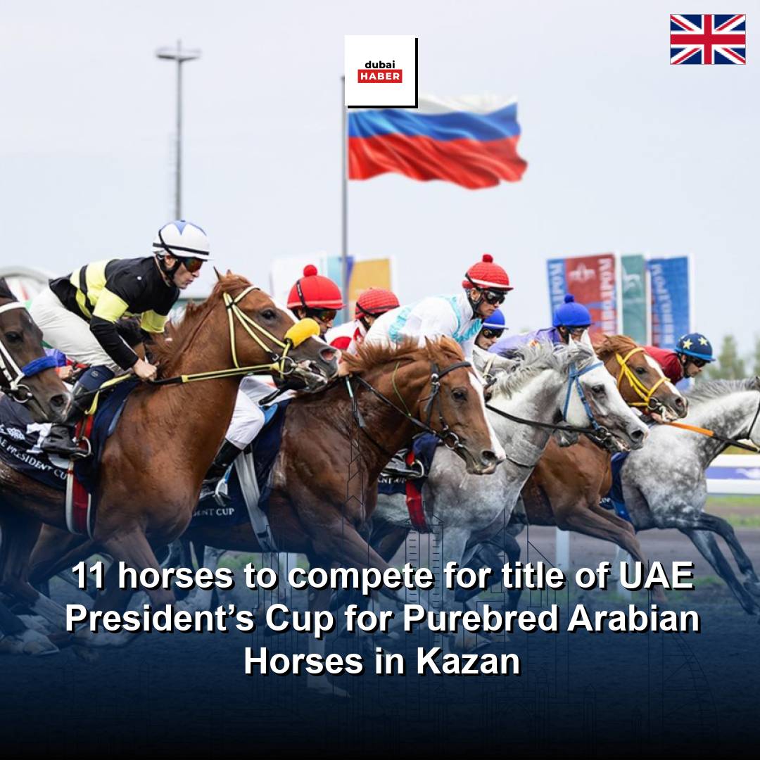 11 horses to compete for title of UAE President’s Cup for Purebred Arabian Horses in Kazan