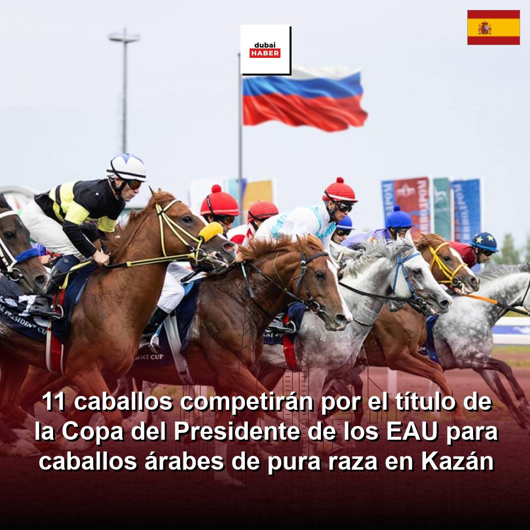 11 caballos competirán por el título de la Copa del Presidente de los EAU para caballos árabes de pura raza en Kazán