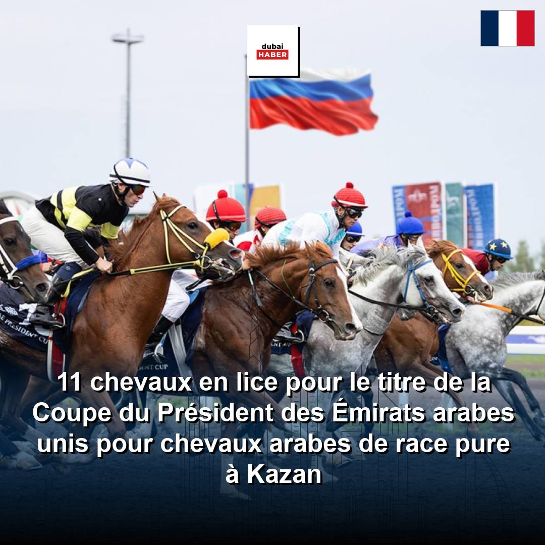 11 chevaux en lice pour le titre de la Coupe du Président des Émirats arabes unis pour chevaux arabes de race pure à Kazan
