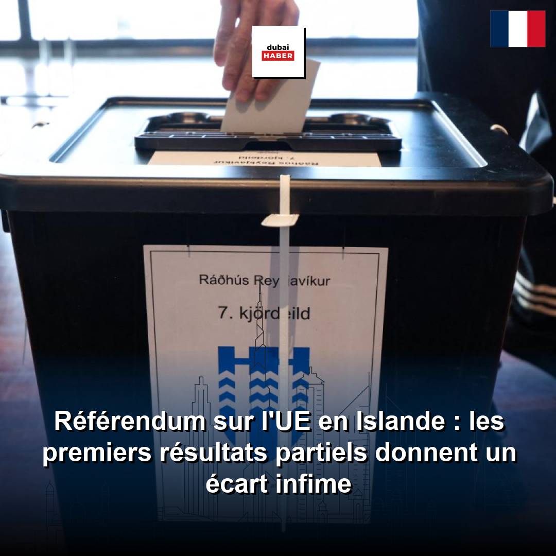 Référendum sur l'UE en Islande : les premiers résultats partiels donnent un écart infime