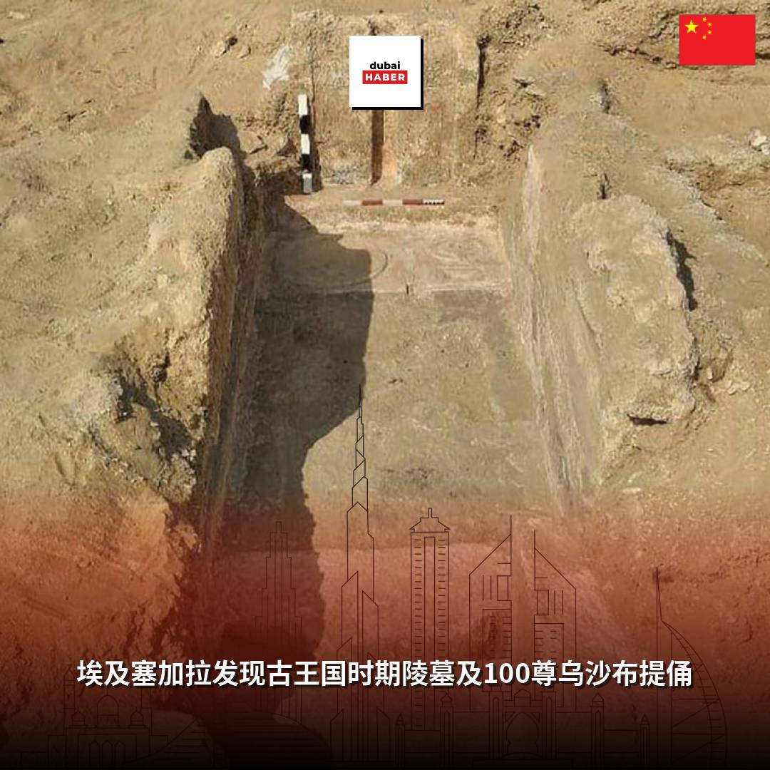 埃及塞加拉发现古王国时期陵墓及100尊乌沙布提俑