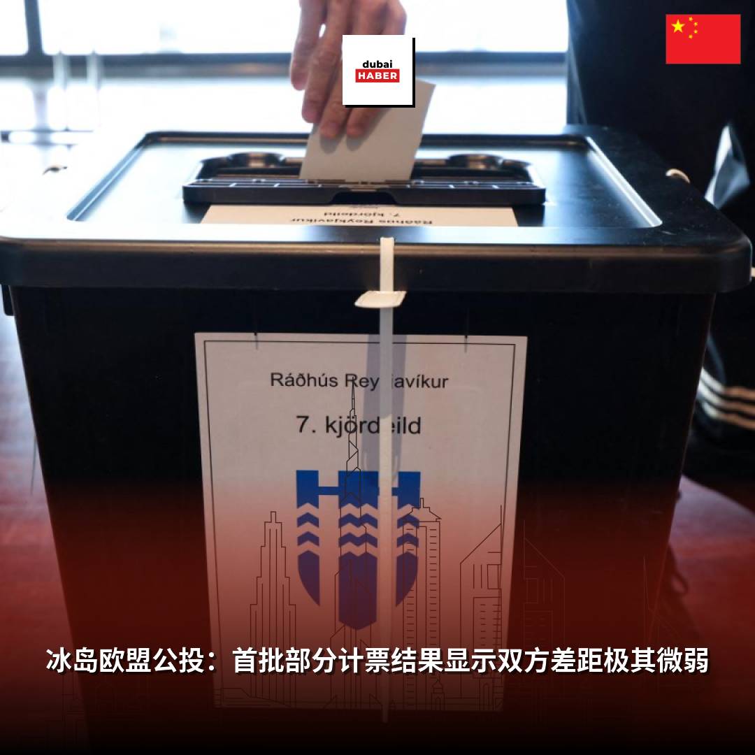 冰岛欧盟公投：首批部分计票结果显示双方差距极其微弱