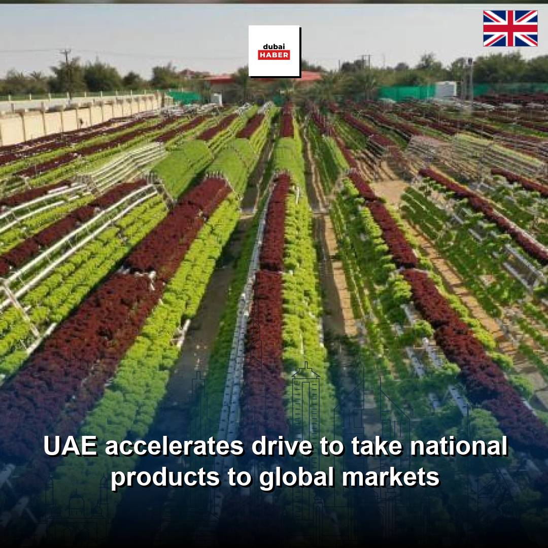 UAE accelerates drive to take national products to global markets