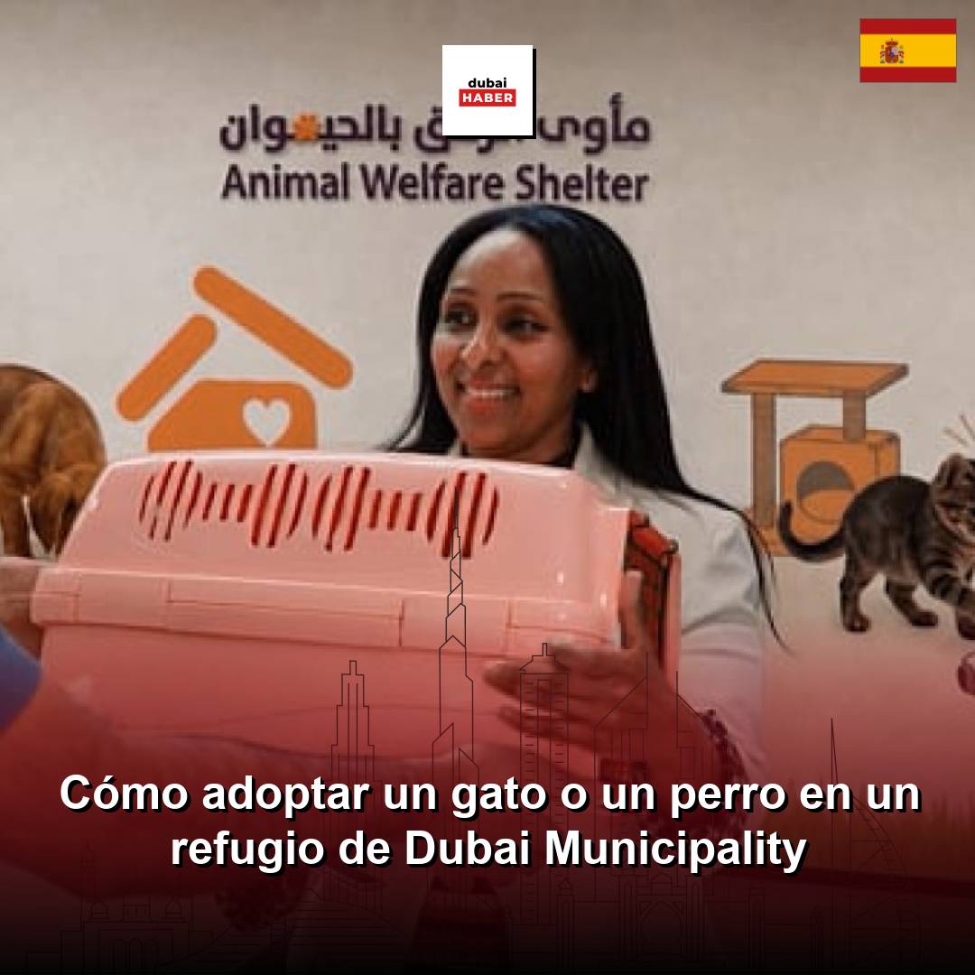 Cómo adoptar un gato o un perro en un refugio de Dubai Municipality