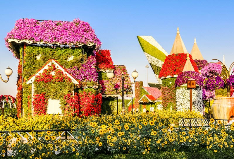 Dubai Miracle Garden: Çiçeklerle Dolu Bir Harikalar Bahçesi