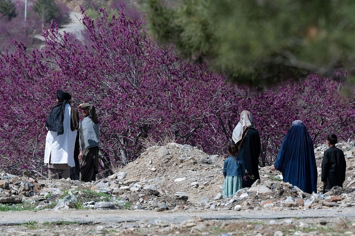 Taliban, 'İslami Değerleri İhlal Ettiği' gerekçesiyle iki Televizyon Kanalının Yayınını Durdurdu