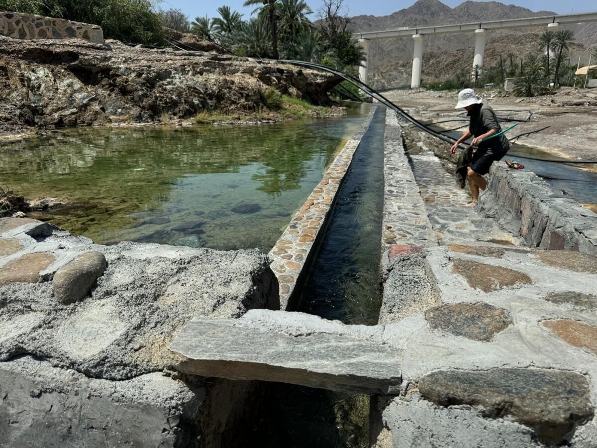 BAE: Eski Sulama Sistemi Restorasyondan Sonra 8 Çiftliği Sular