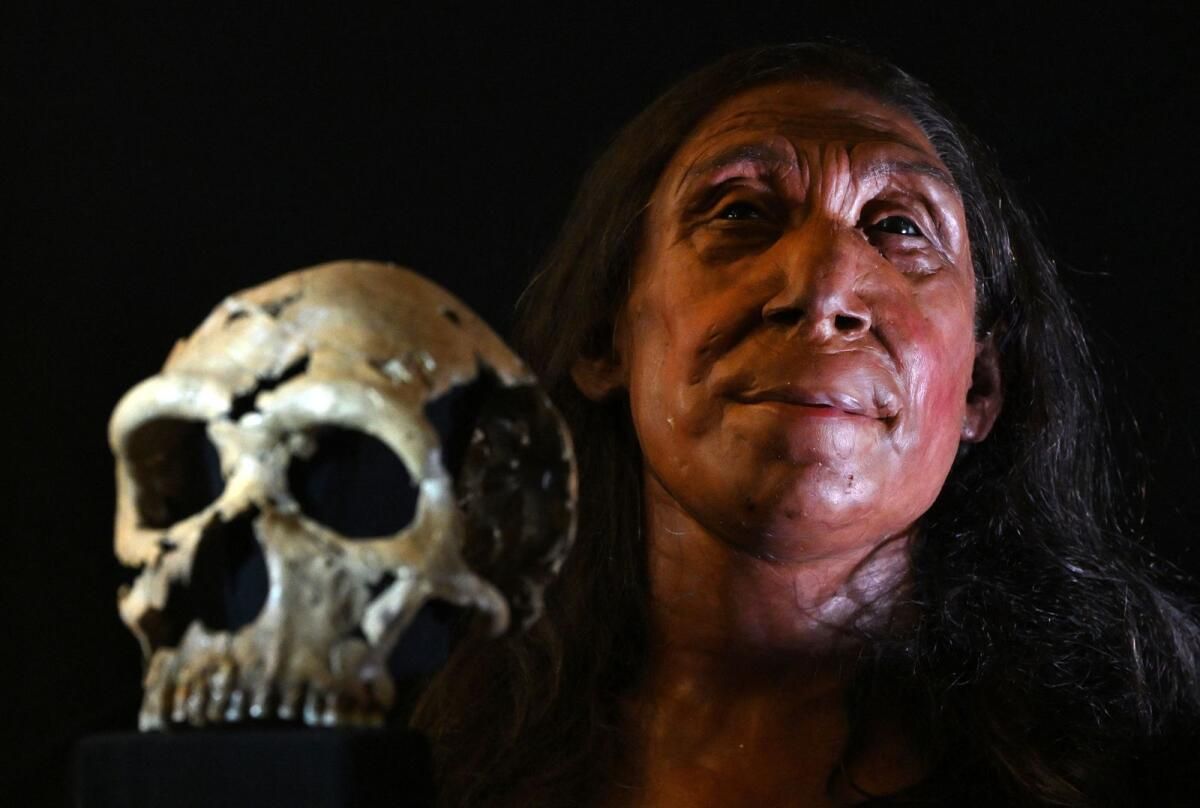 İngiliz Araştırmacılar 75.000 Yaşındaki Neandertal Kadınının Yüzünü Açıkladı