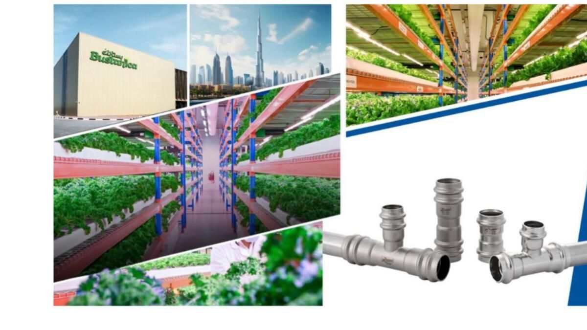 Dubai'deki Dünyanın En Büyük Dikey Çiftliğinde Kullanılan Rhinox Sıhhi Tesisat