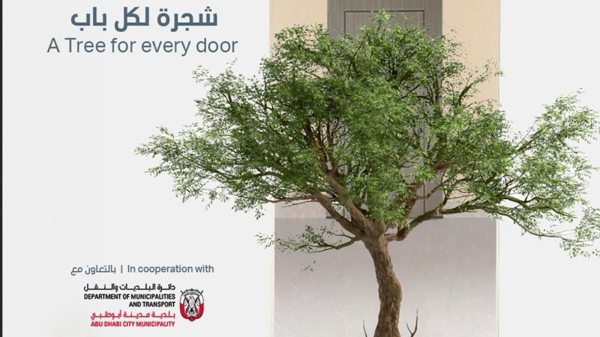 Faham Doors, ‘Her Kapıya Bir Ağaç’ ile Yeşil Yaşamı Gerçeğe Dönüştürüyor