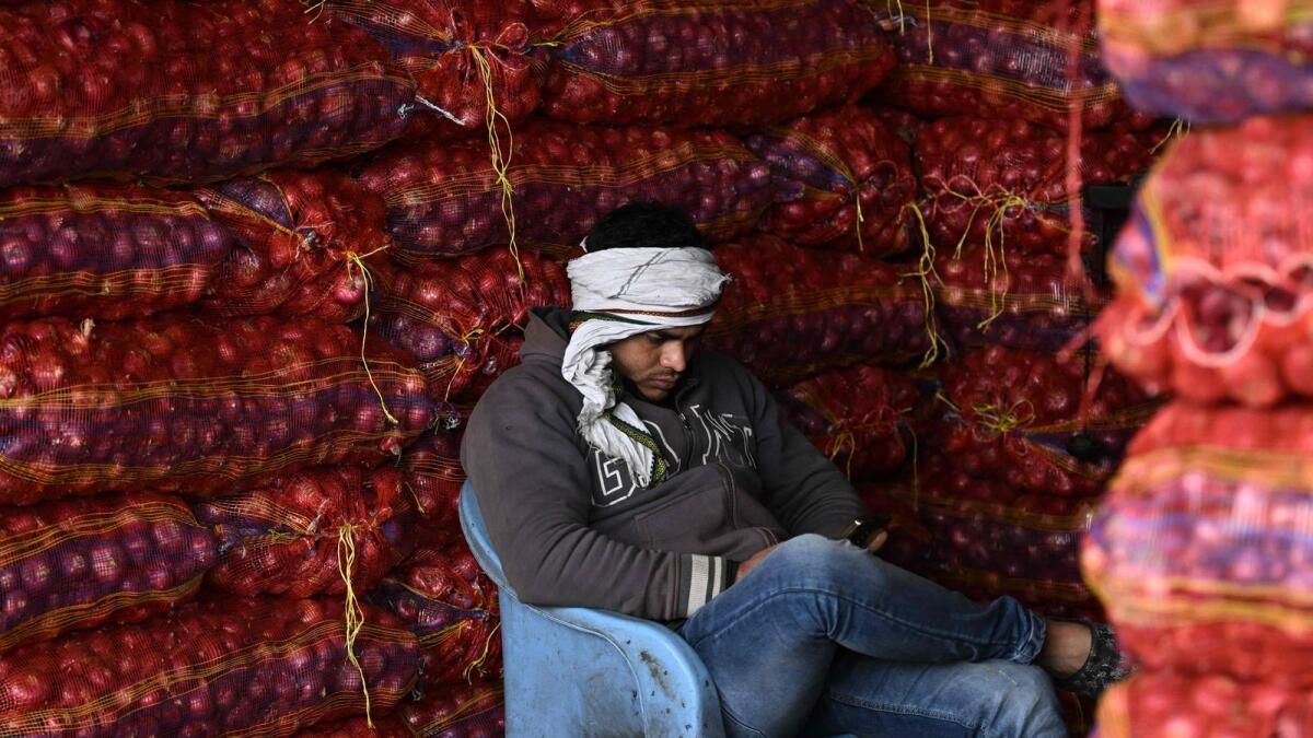 Hindistan, Güçlü Üretimden Sonra Soğan İhracat Yasağını Kaldırdı