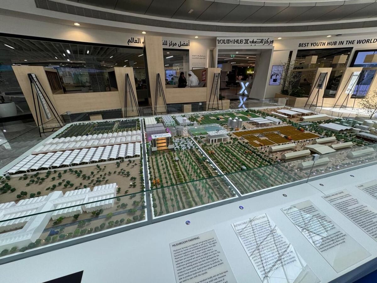 Dronlar, Gıda Teknolojisi Vadisi: Dubai 'Geleceğin Kurak Çiftliği' Yakında Piyasaya Sürülecek