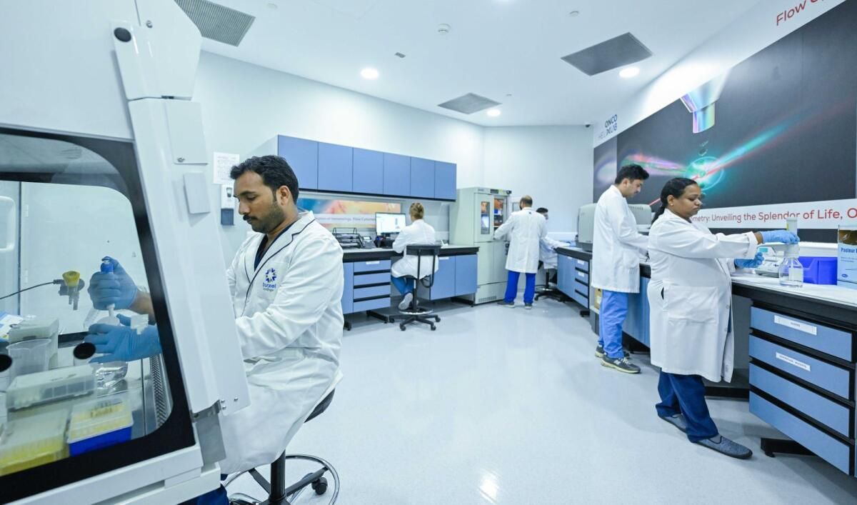 Abu Dabi'nin Yeni Moleküler Teşhis Laboratuvarı Hızlı Sonuçlar Sunuyor, Süreci Kolaylaştırıyor