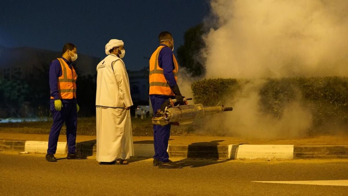 Dubai, Sivrisineklerin Parklara, Pazarlara ve Diğer Alanlara Yayılmasını Engelleme Çabalarını Artırıyor
