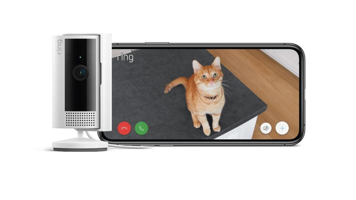 Ring, Evcil Hayvan Ebeveynlerine Akıllı Ev Güvenlik Çözümleri Sunar