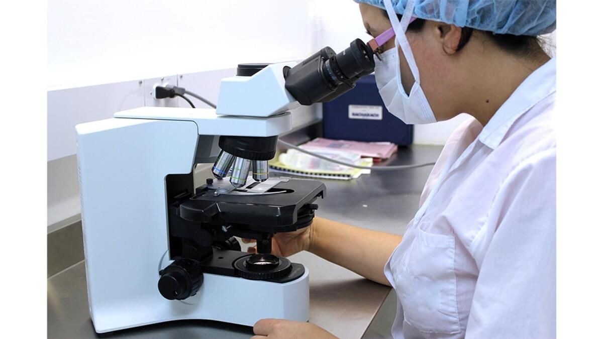 Vilon Peptidini Ortaya Çıkarmak: Bilimsel Keşif için Devrim Niteliğinde Bir Araç