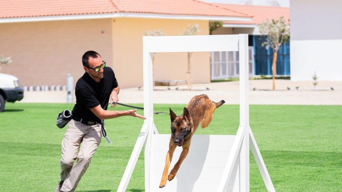 WWK9, Isnr 2024'te Son Teknoloji Köpek Teknolojisini Sergiliyor