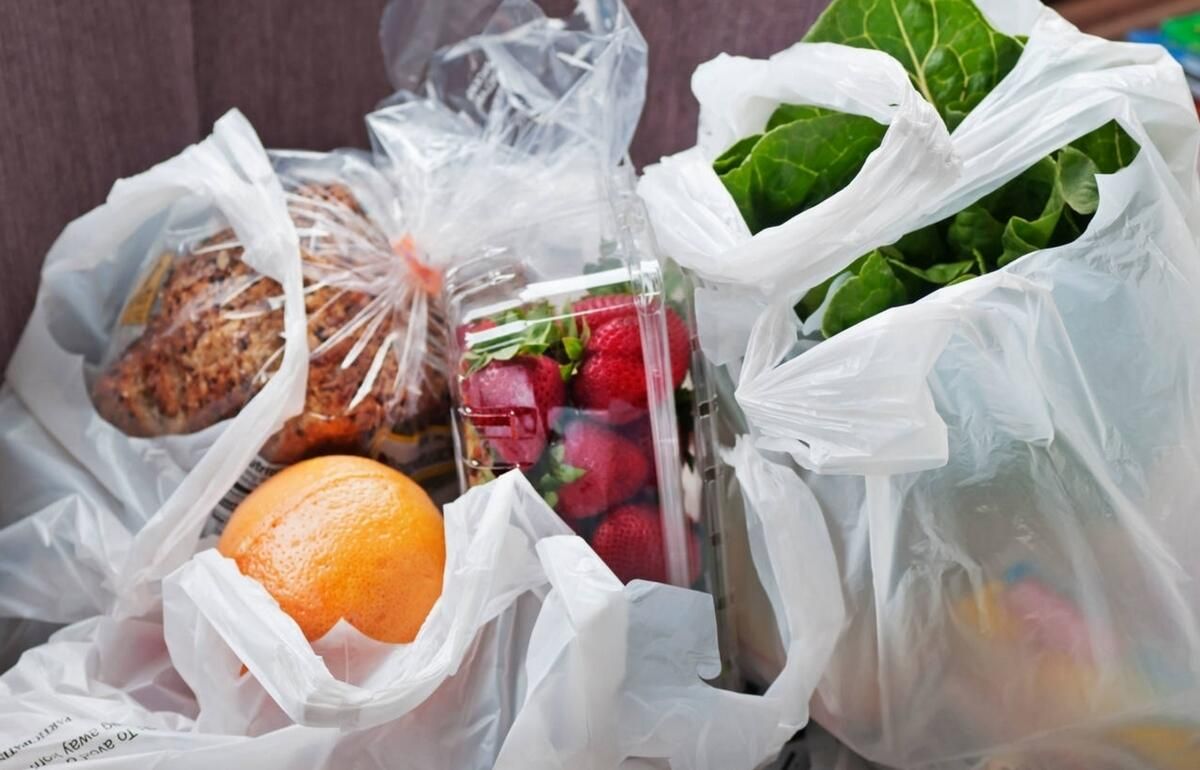 Tek Kullanımlık Plastik Yasağından Sonra BAE için Gelecek Ne Bekliyor?