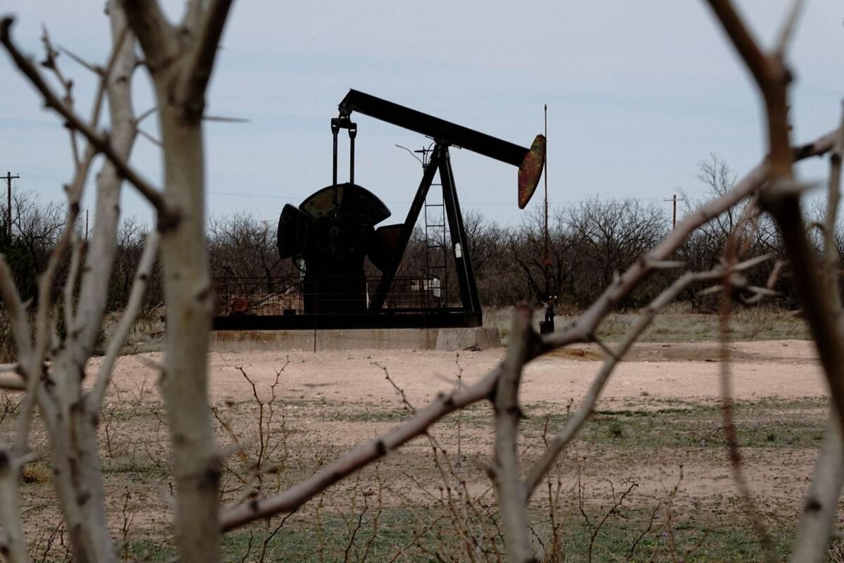 Opec Surprise Sürpriz Rekor Hedge Fon Petrol Satışlarını Tetikledi: Kemp