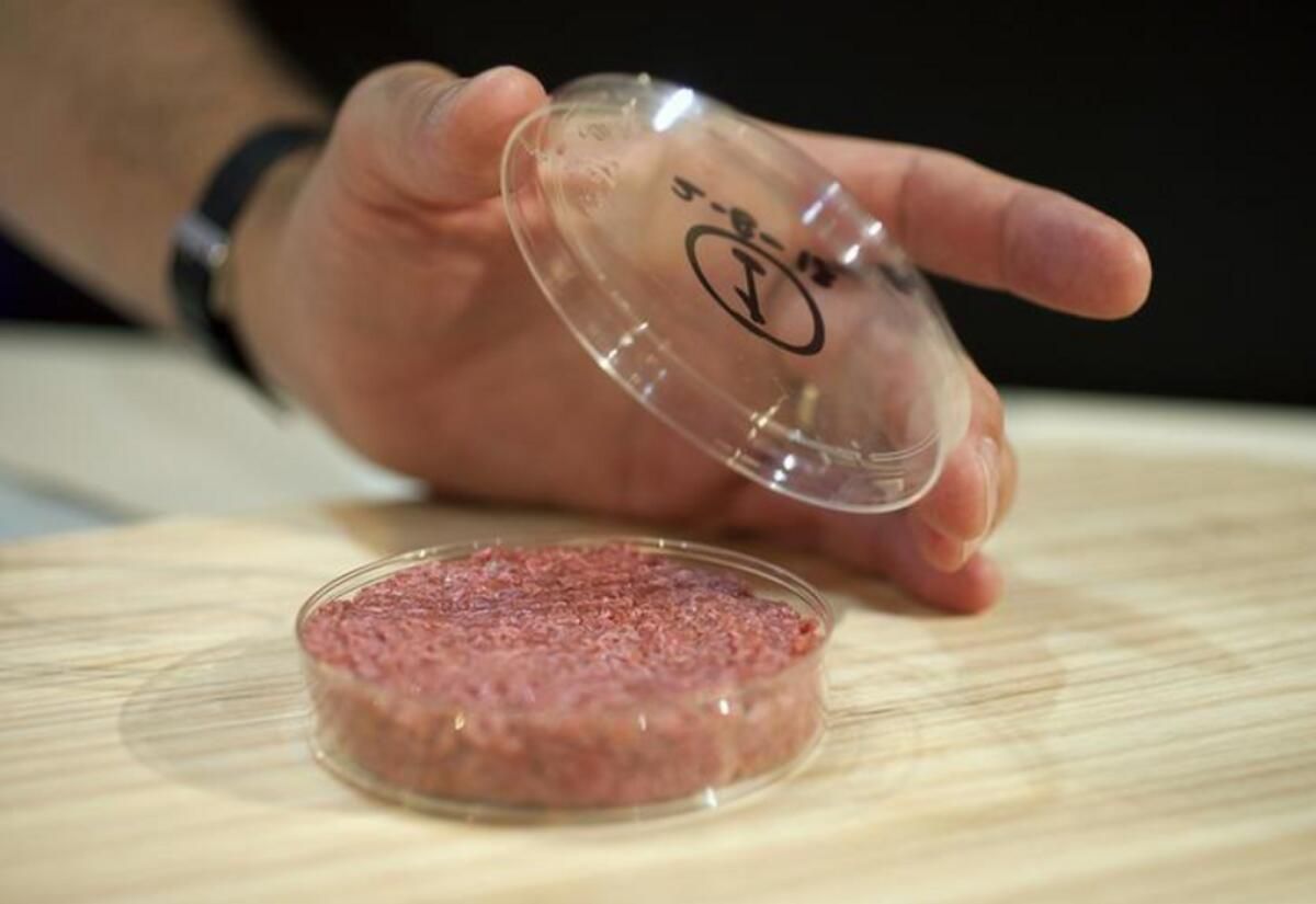 BAE: Agwa ve Believer Meats işbirliğiyle Laboratuvarda Yetiştirilen Et Yetenekleri Araştırılacak
