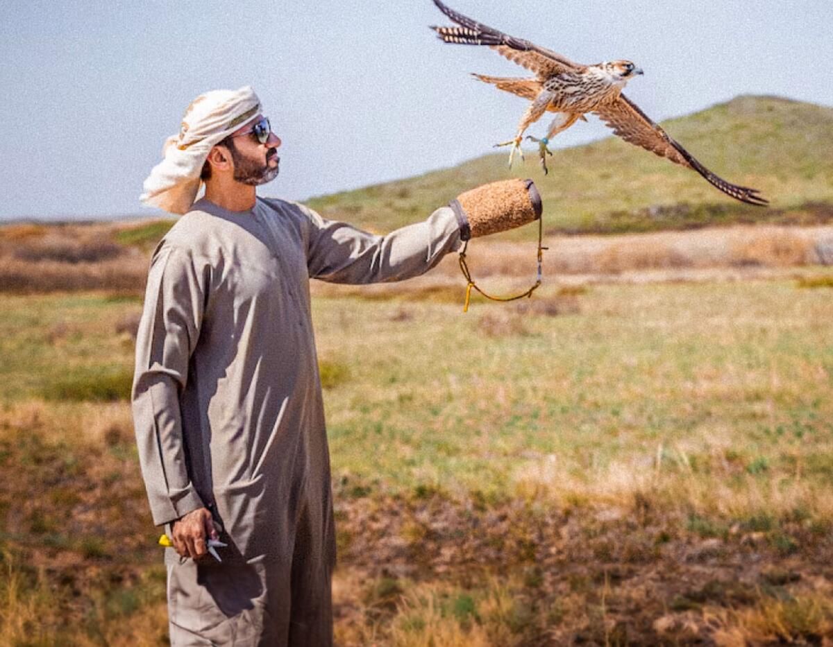 Birleşik Arap Emirlikleri: Şeyh Zayed'in İnisiyatifiyle 2.000'den Fazla Şahin 'Doğaya Geri Döndü'