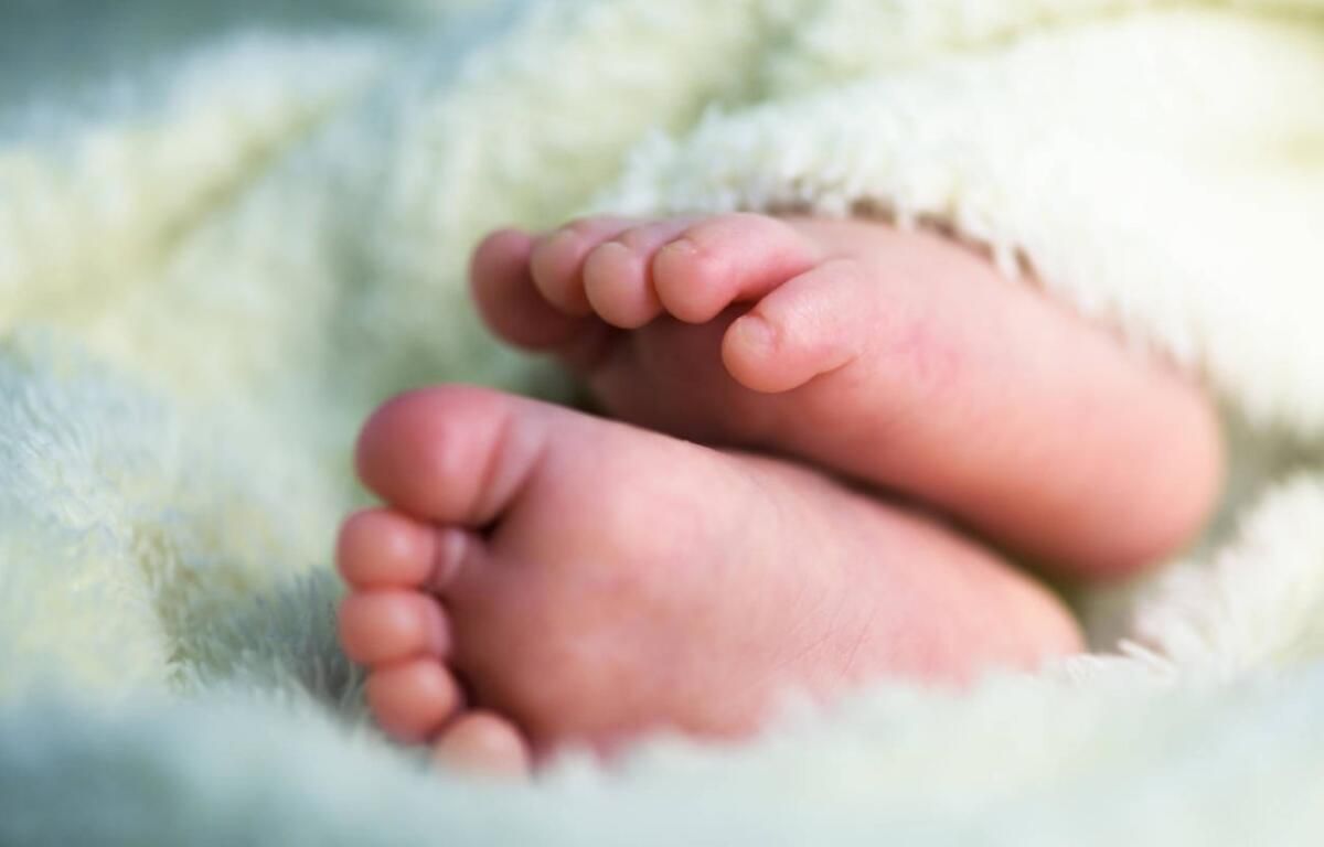 Mahkeme, Londra'da Terk Edilen Üç Yenidoğanın Hepsinin Akraba Olduğunu Açıkladı