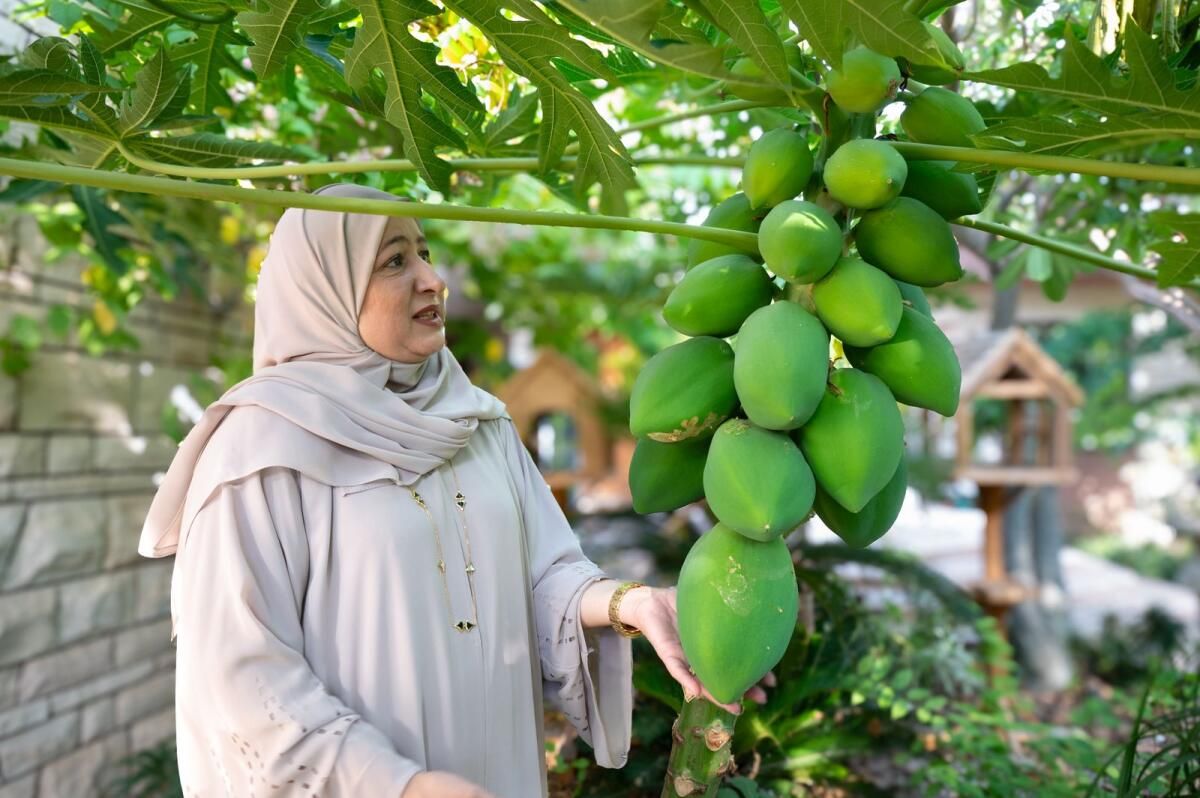 Ev Bahçesinden Ödüllü Çiftliğe: Dubai'de İkamet Eden Evi Vahaya Dönüştürüyor