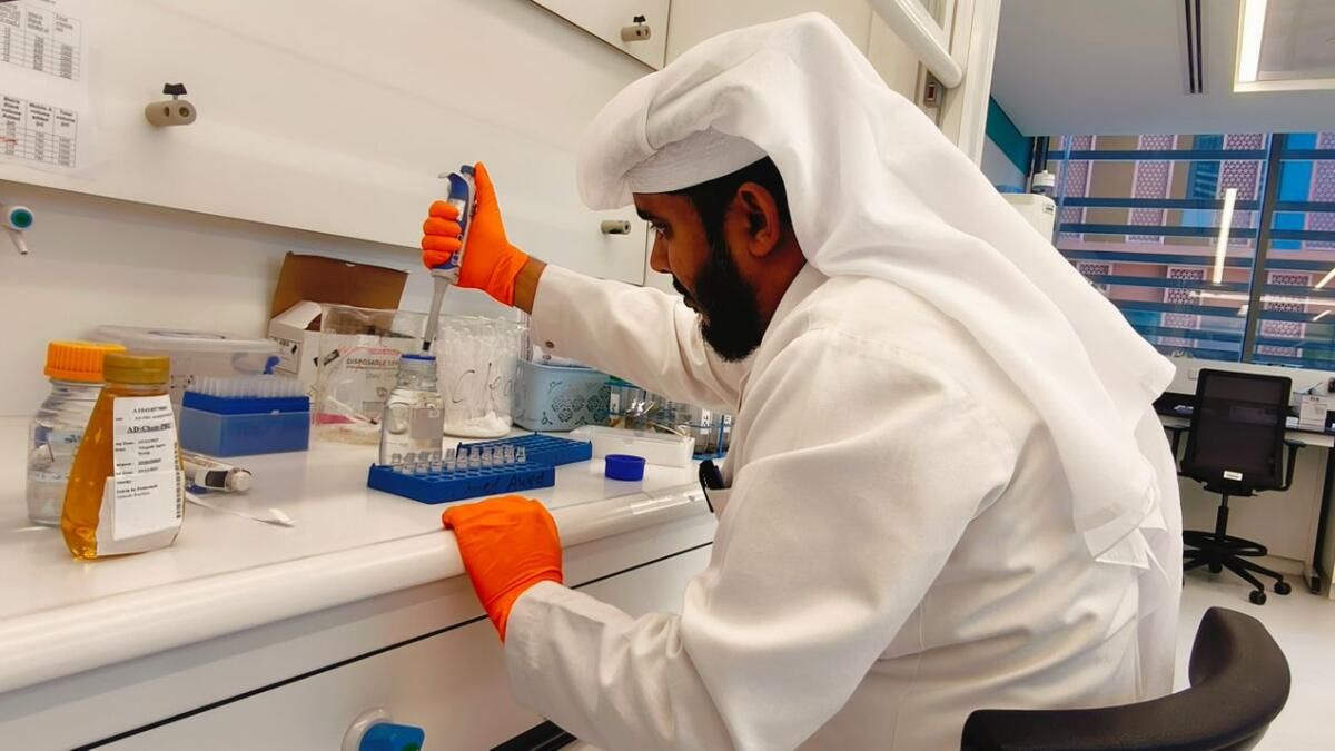 BAE'nin ilk Yapay Zeka Destekli Bal Test Merkezi Abu Dabi'de Açıldı
