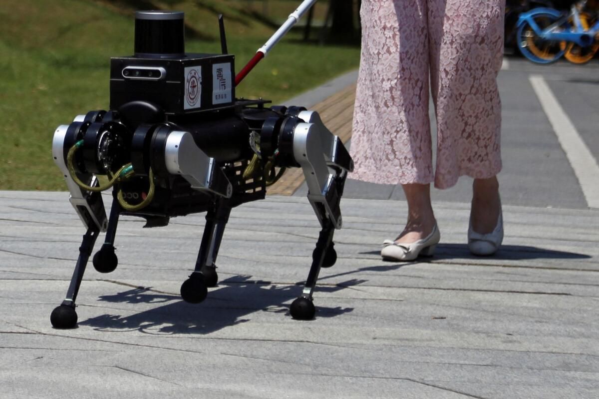 Çinli Robot 'Rehber Köpek' Görme Engelliler için Bağımsızlığı Geliştirmeyi Amaçlıyor