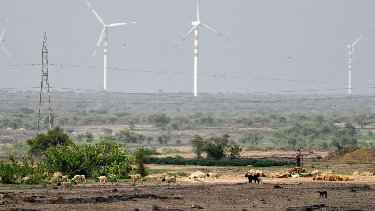 Hindistan'ın Yeşil Enerji Rüzgarı Çöl Çobanlarına Sert Vurdu