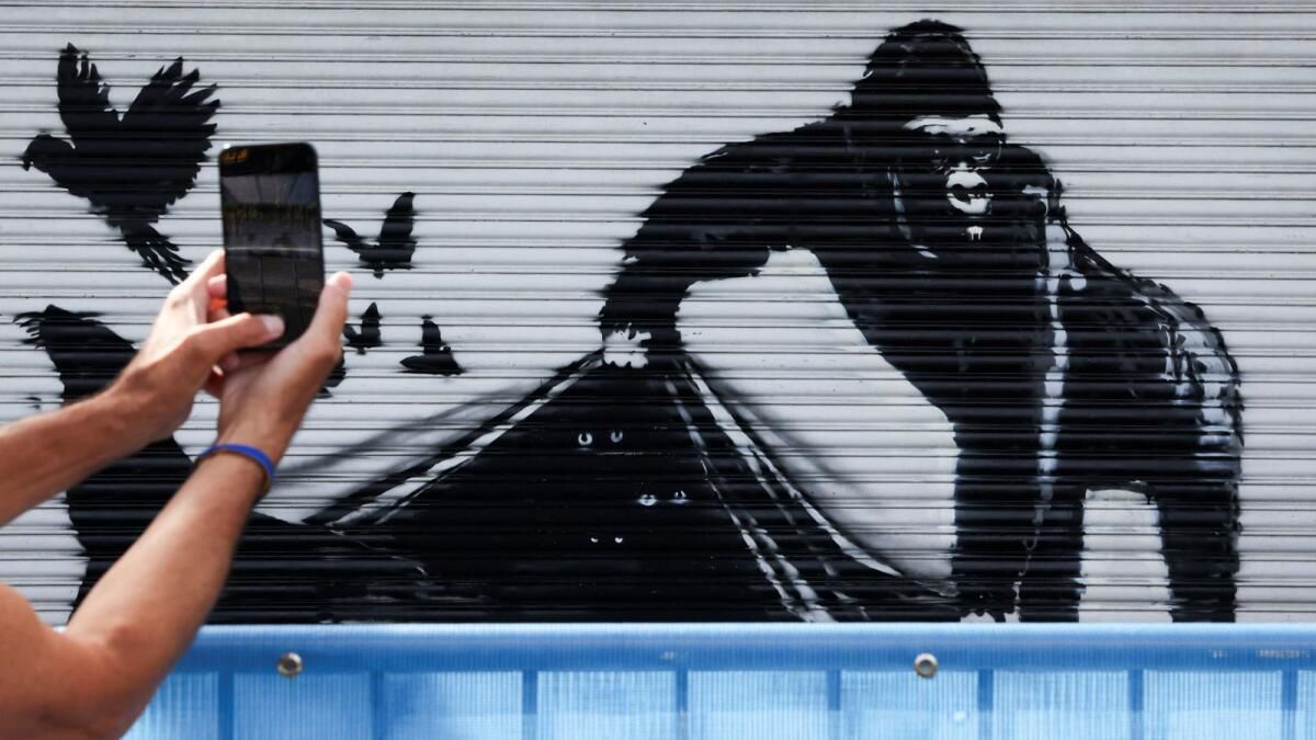 Banksy, Duvar Serisi Finalinde Londra Hayvanat Bahçesi'ndeki Hayvanları Serbest Bıraktı
