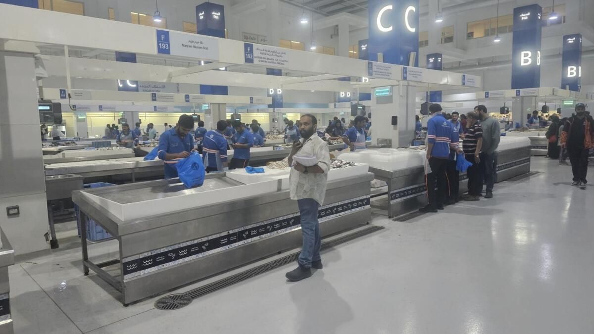 Yaz Sıcağı Arzı Etkilediği için Dubai ve Sharjah'ta Balık Fiyatları Yükseliyor