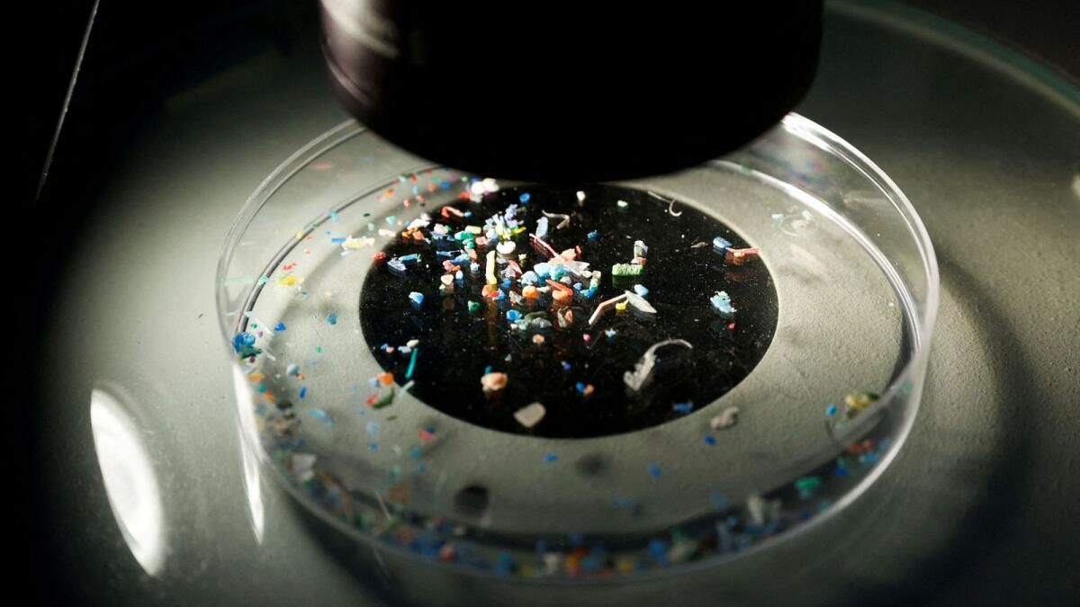 Hindistan, Gıdalardaki Mikroplastik Kontaminasyonla Mücadele Projesini Başlattı