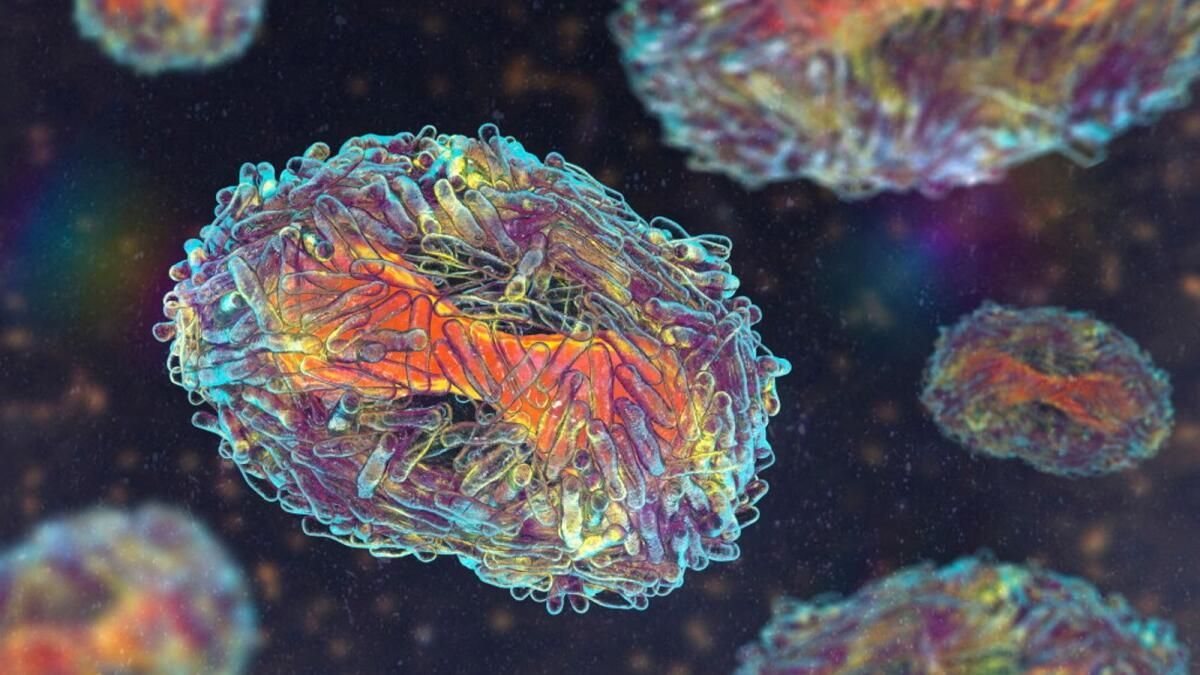 Dsö Yetkilisi, Mpox'un Yeni Covıd Olmadığını Söylüyor
