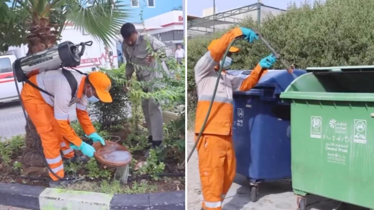 İzleyin: Sharjah, 163.000 Sitedeki Zararlıları Yok Etmek için Yola Çıktı