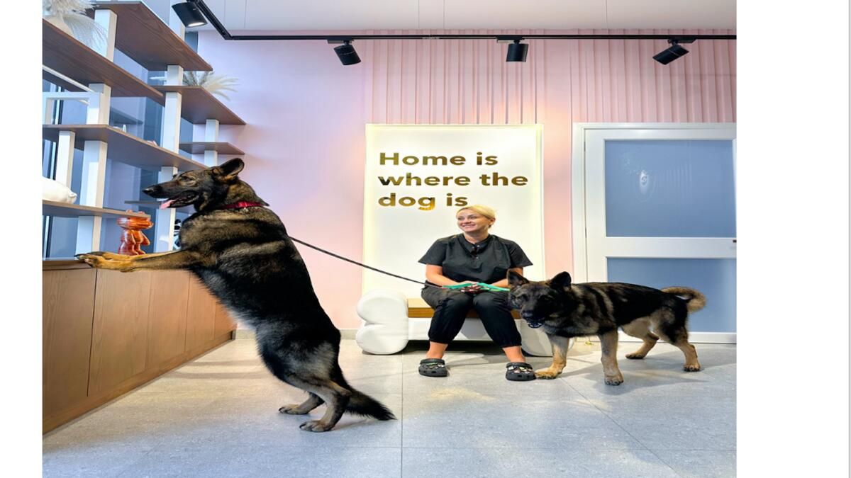 Gallagroom Pets Grooming And Spa, Dubai'de Başlıyor ve Evcil Hayvan Bakımı Deneyimini Yeniden Tanımlıyor