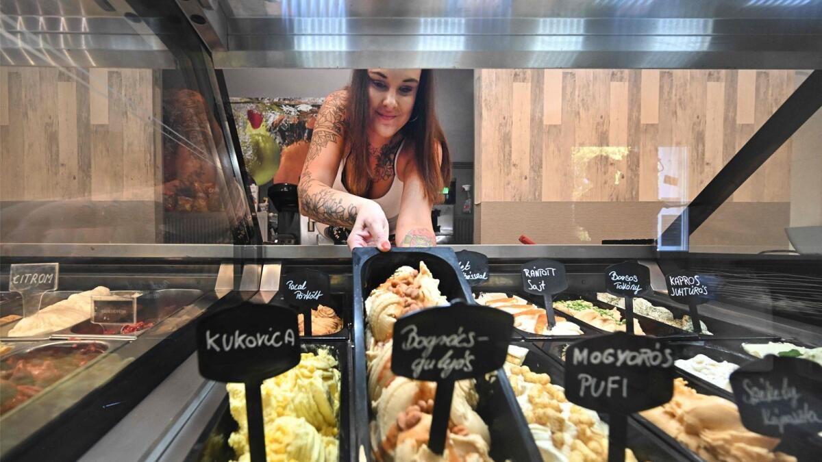 Koni İştahı: Macaristan Lahana Güveçli Dondurma için Çıldırıyor