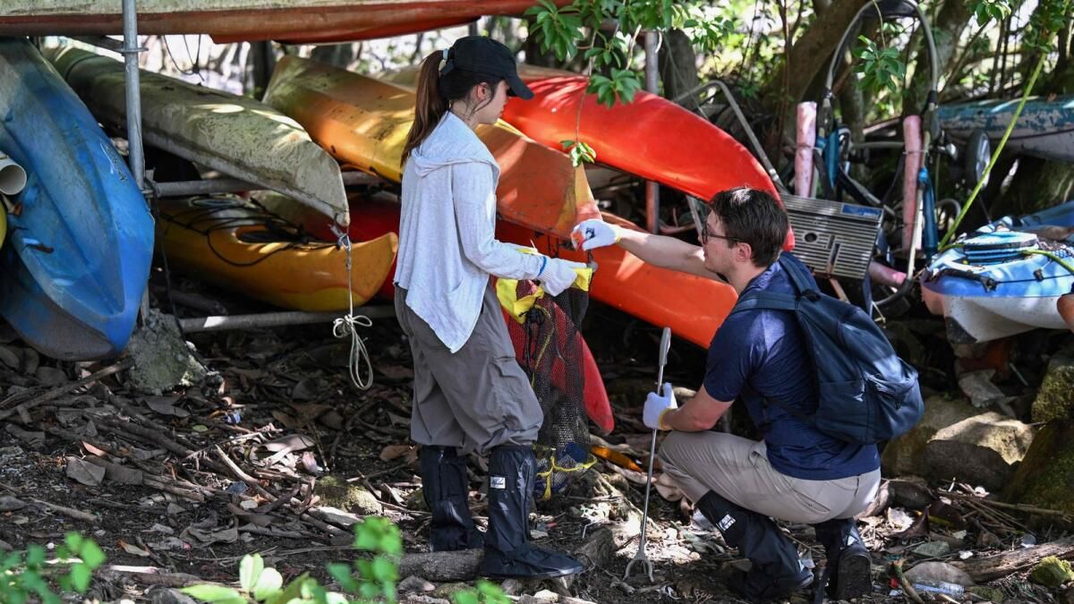 Greenpeace, Hong Kong Yaban Hayatı Tarafından Yutulan Mikroplastiklerde Alarm Veriyor