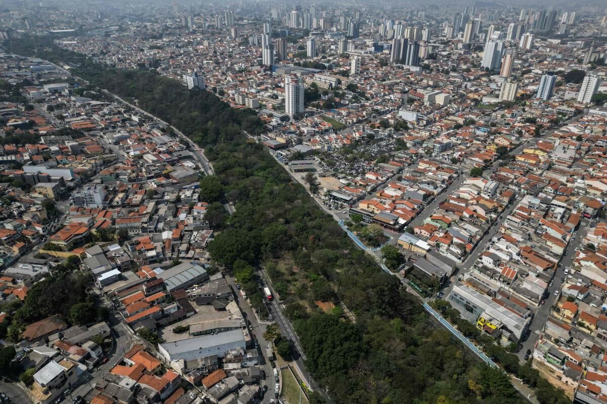 Sao Paulo'nun Beton Ormanını Yeşillendiren 'Çılgın' Ağaç Ekici