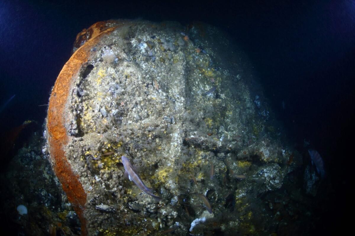 1856'da Atlantik'te Batan Buharlı Geminin Enkazı Keşfedildi