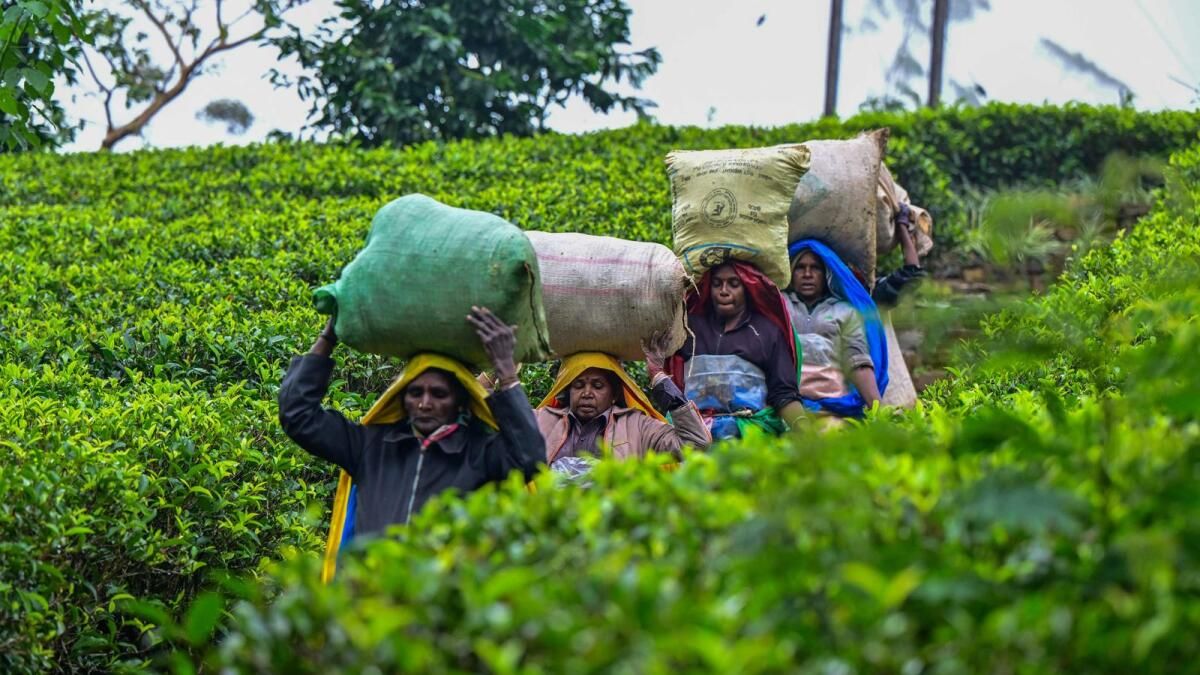 Nakit Sıkıntısı Çeken Sri Lanka, Son 39 Yılda ilk Deflasyonu Kaydetti