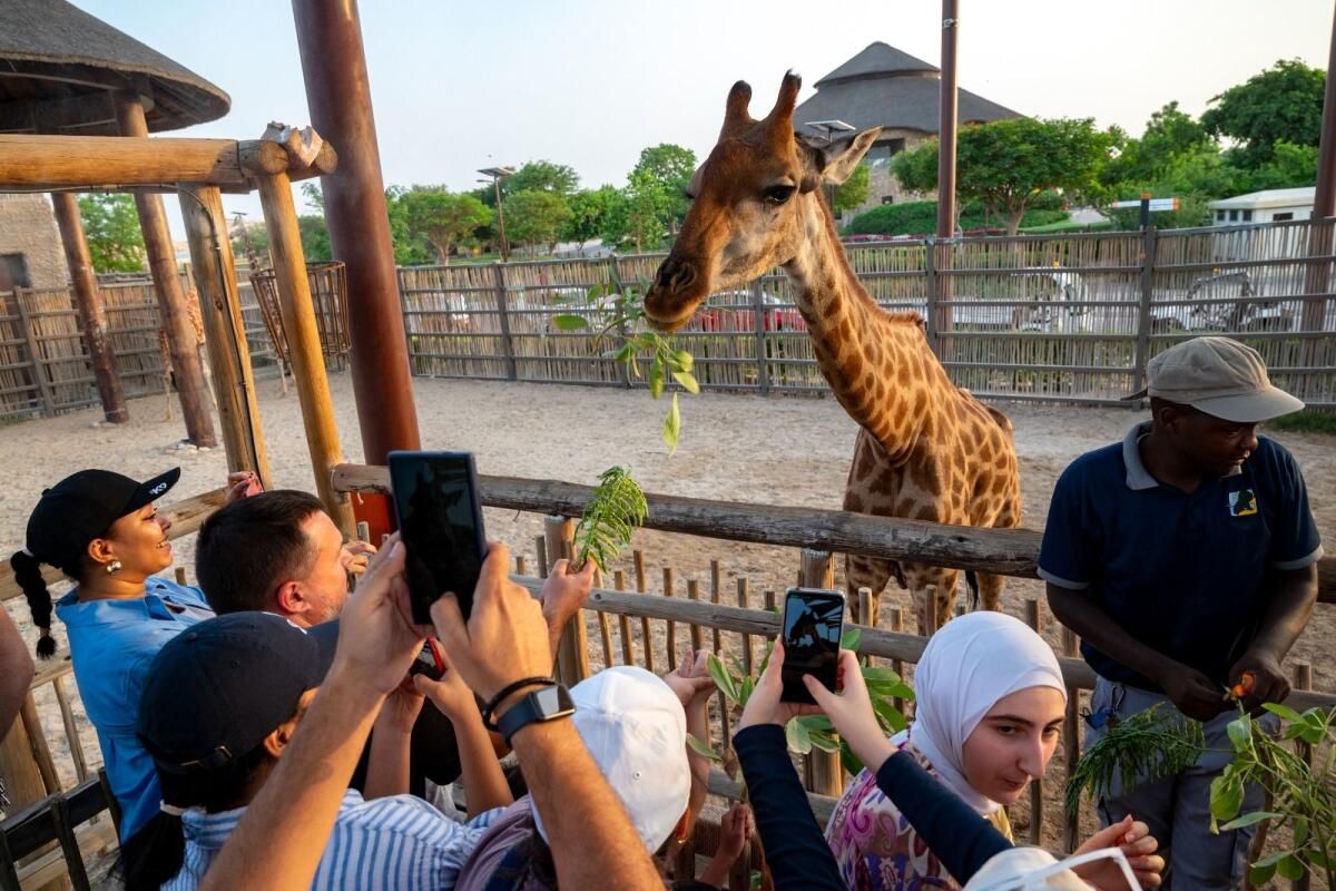 Bakın: 3.000 Hayvan, 6 Temalı Bölge; 1 Ekim'den itibaren Dubai Safari Park'ta Neler Beklenir