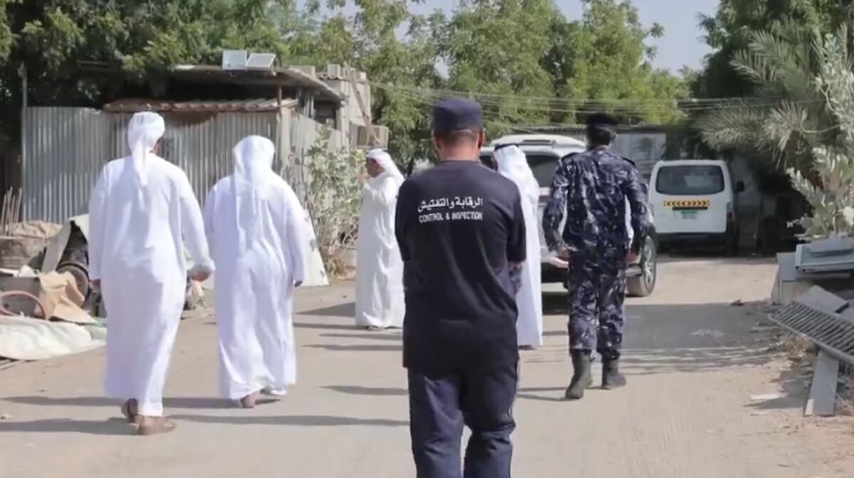 BAE: Sharjah Çiftliklerinin Denetlenmesinden Sonra İhlalcilere Karşı Alınan Yasal Önlemler