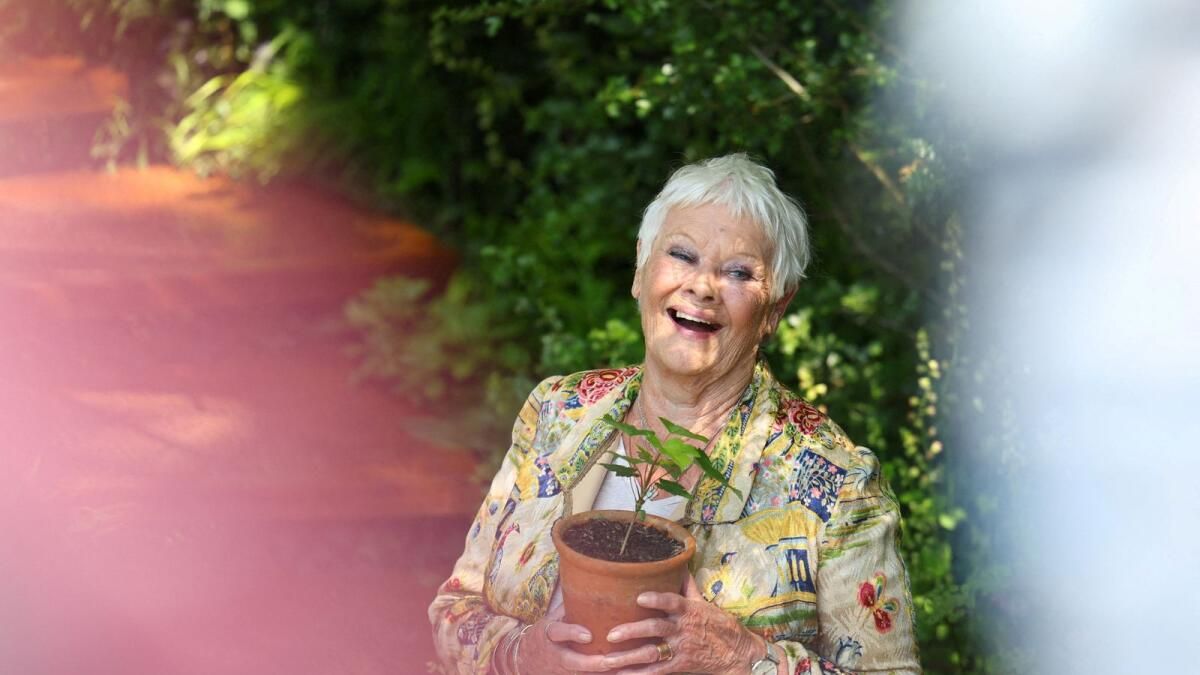 Kaynak, Meta'nın Aı Sohbet Botunun Judi Dench, John Cena ve Diğerlerinin Sesleriyle Konuşmaya Başlayacağını Söylüyor