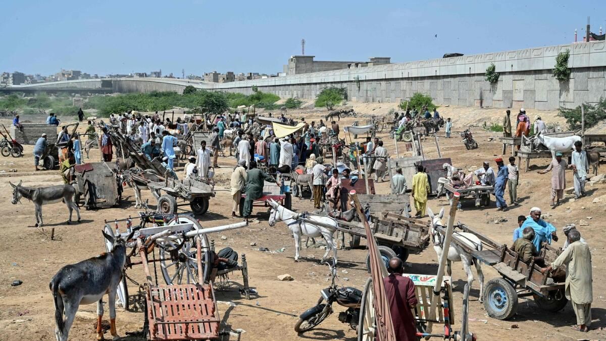 Modern Baskılar Pakistan'ın Eşek İşini Yüklüyor