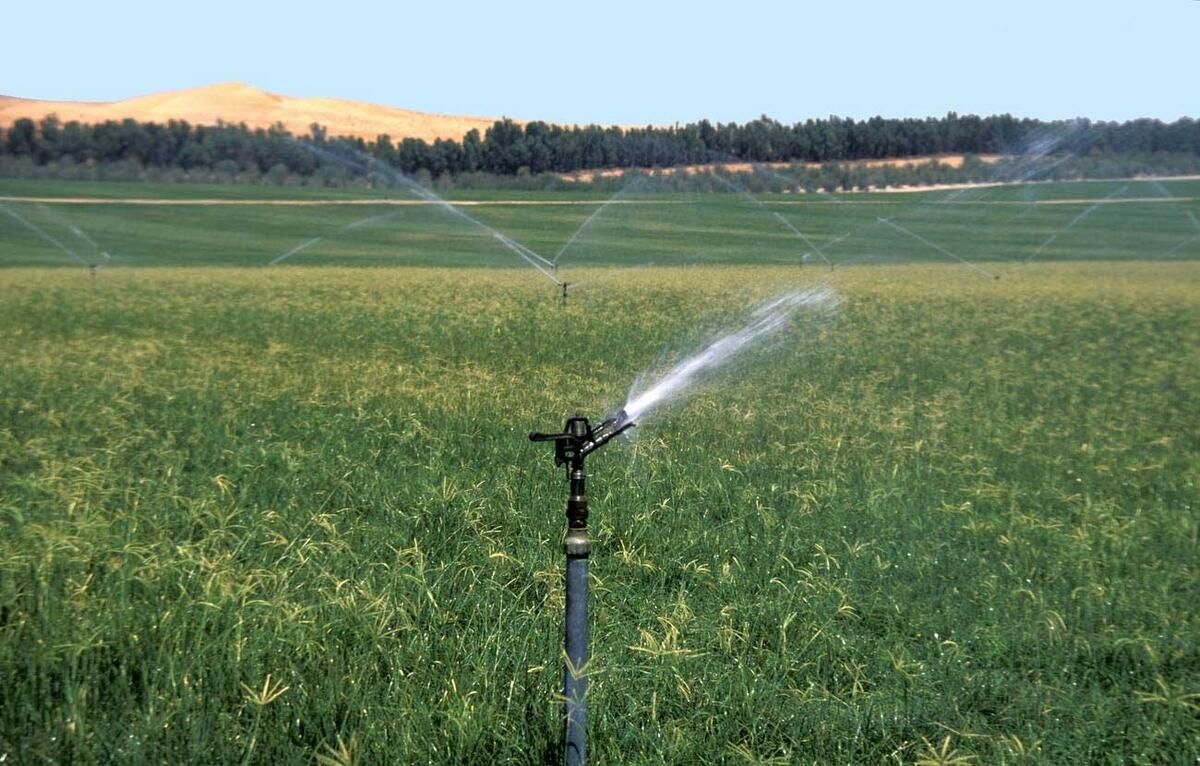 Sharjah, Yeşil Alanlar için iki Sulama Projesi Başlattı