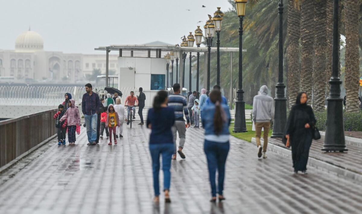BAE: Yağmurlu Al Wasmi Sezonu Ekim Ortasında Başlayacak