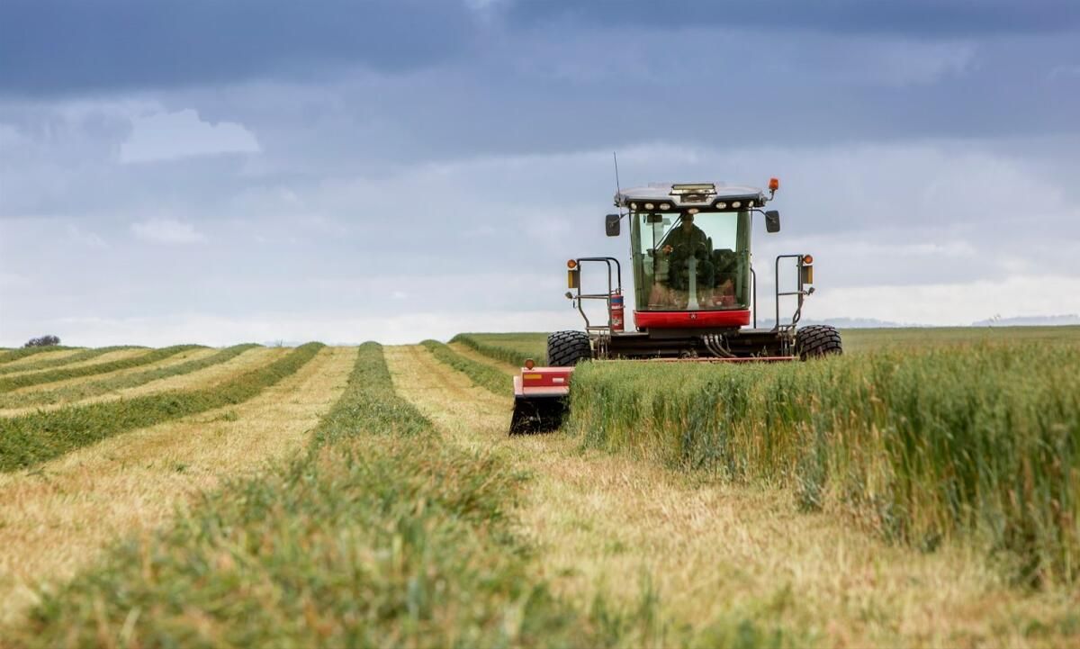 Balco, Agrame 2024'te Birinci Sınıf Yulaf Samanını Sergiliyor
