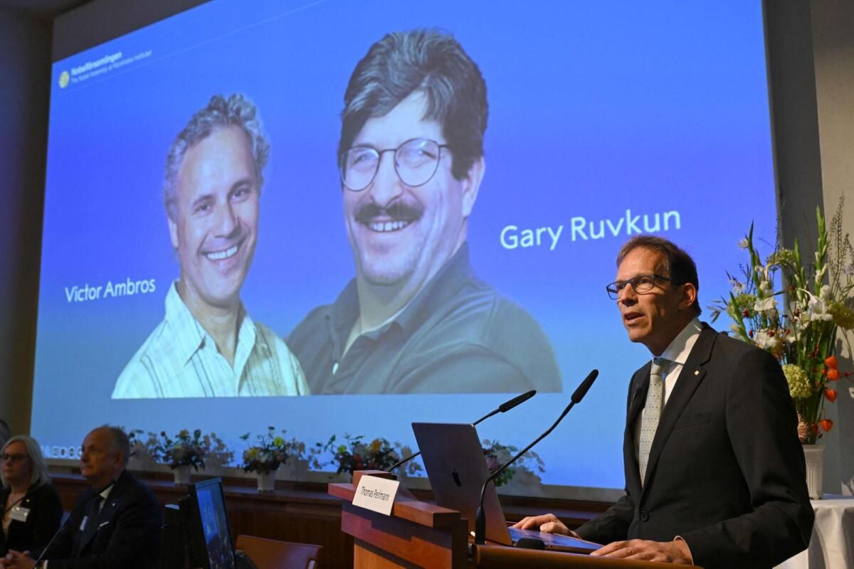Nobel Tıp Ödülü ABD'li Bilim Adamları Ambros'a Verildi, Ruvkun